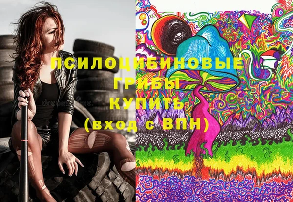 спиды Алексеевка