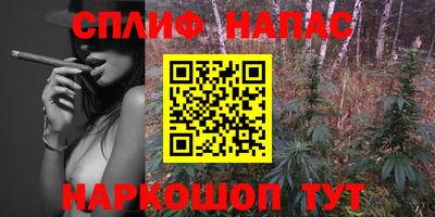прущие грибы Шелехов