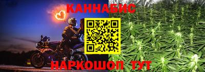 прущие грибы Шелехов