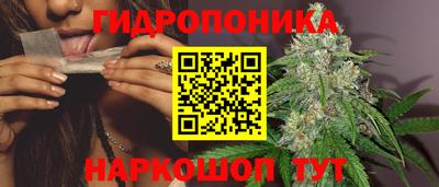 прущие крисы Шахты