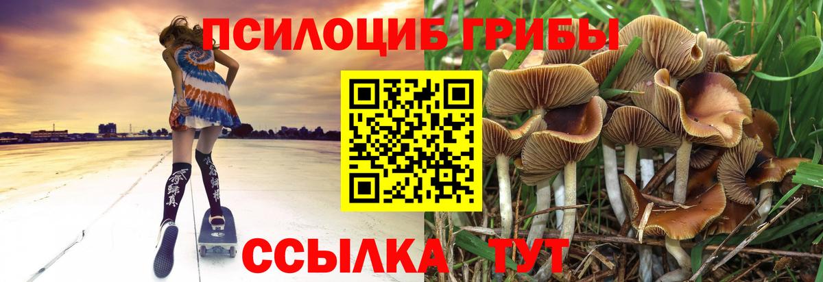 Ахтубинск  Псилоцибиновые грибы GOLDEN TEACHER  Вход с VPN 